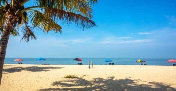 ماراريكولام Marari Beach Cleetus Homestay المظهر الخارجي الصورة